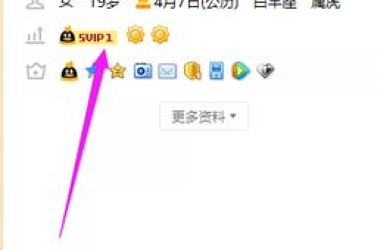 卡盟虚拟业务平台是一个提供各种虚拟产品交易和服务的在线平台。