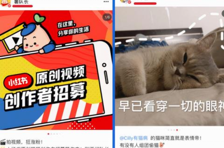 小红书自助平台业务，提供一站式自媒体推广解决方案，助力品牌影响力提升。