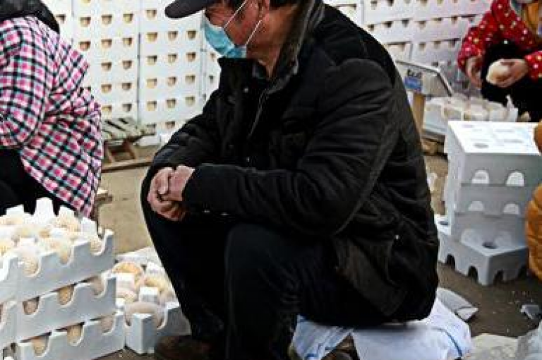 探索拼多多助力群的奥秘，究竟有没有真正的免费助力？