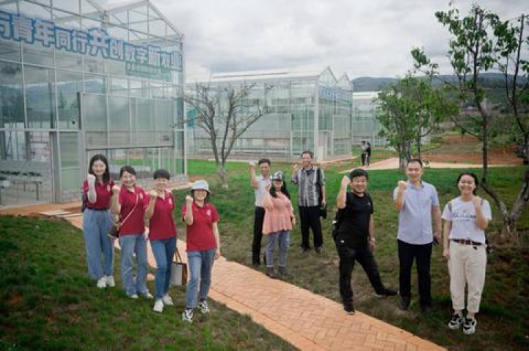 拼多多无限助力工具，深度剖析与应用指南。