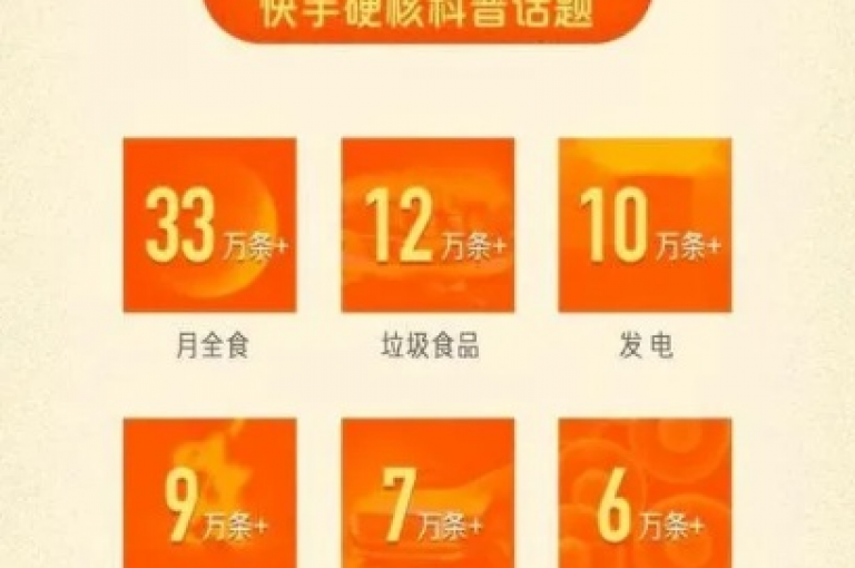 快手24小时秒单业务网的关键策略，揭秘在快手平台24小时内快速下单的商机，新手必学技巧！