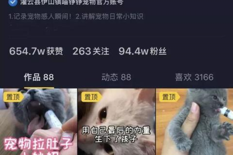 探索便捷的网络服务，发现那些能够加速社交媒体互动、提供即时抖音业务支持及快手自助服务的高效平台。