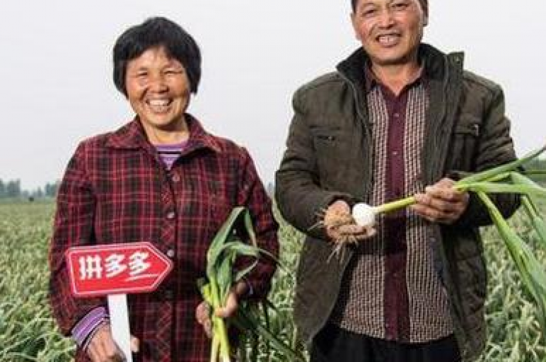 拼多多助力群是否存在？