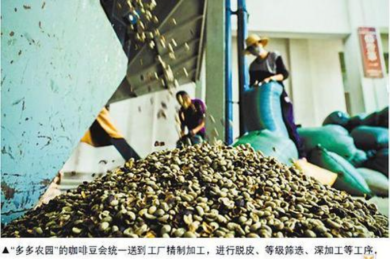 在拼多多平台上，用户可以通过点击多多帮点来查看和参与助力活动。