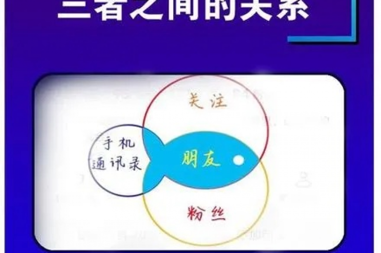 粉丝和关注的区别的独家揭秘，粉丝和关注的区别，你真的了解吗？！2025必学。，粉丝和关注的区别的独家揭秘，粉丝和关注的区别，你真的了解吗？！2025必学。