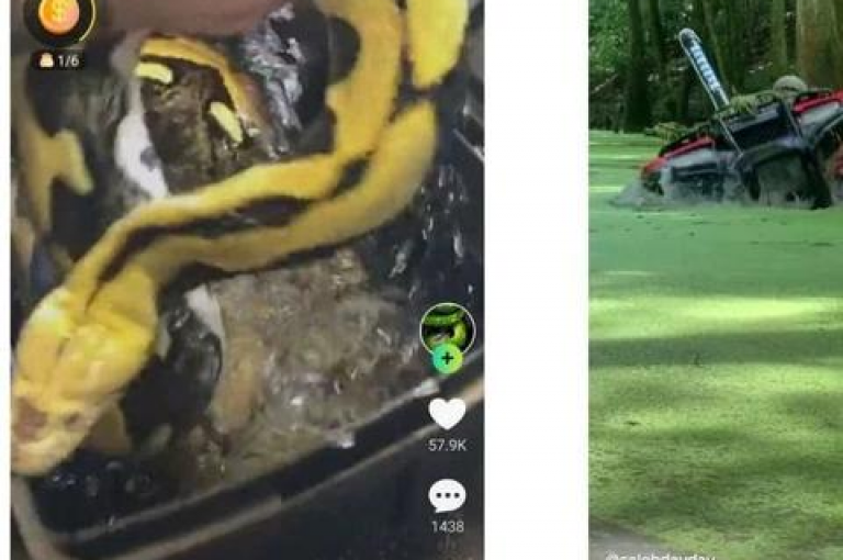 在bilibili业务网和快手业务下单平台，你可以轻松提升QQ点赞数，同时抖音24小时业务平台也将助你热血重燃，让赞数飙升！