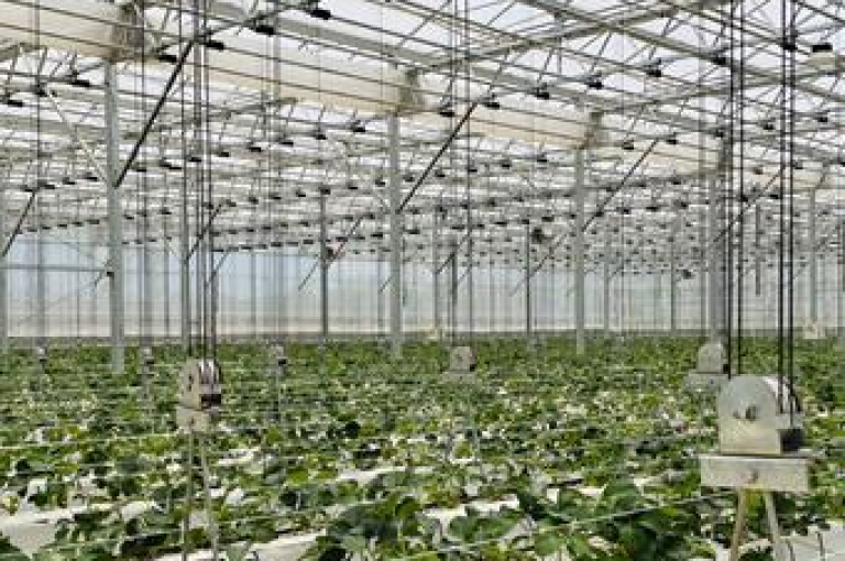 拼多多互助微信群免费助力怎么弄多多互助网站，在拼多多互助微信群中，用户可以通过分享链接、邀请好友等方式获得免费助力。