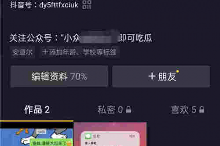 在抖音上购买站点仅需0.5元即可获得100个访问量，同时提供全天候24小时的免费下单服务。