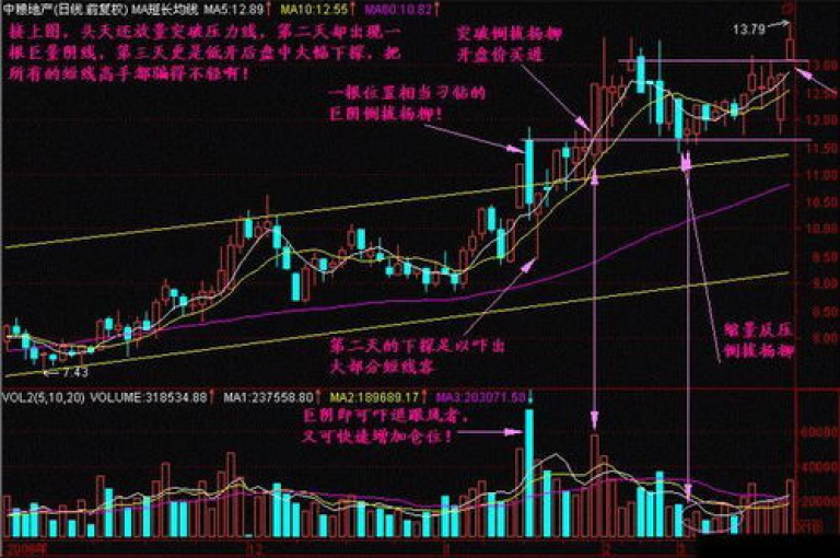 迅速积累一万粉丝的关键策略，掌握快速增长粉丝数量至一万的实用技巧！新手必读！