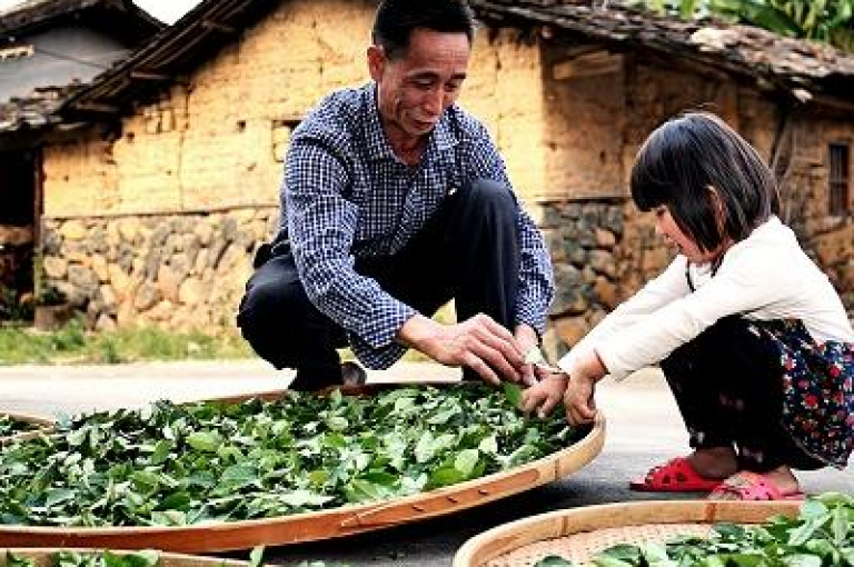 获取拼多多最新助力群二维码的详细步骤及解析。
