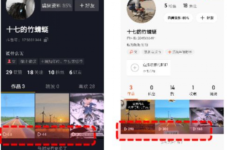 抖音点赞自助平台有哪些 - 快手获取10000赞