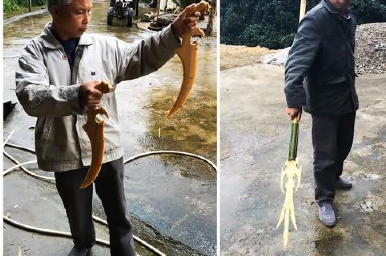 抖音点赞连链接的独家揭秘，精选，您绝对不会想错过的抖音点赞技巧！！2025必学