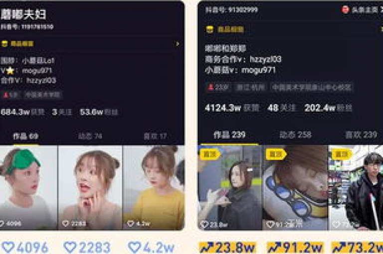 揭秘快手真人粉丝平台，2024年最新策略，确保粉丝稳定增长且永不流失！