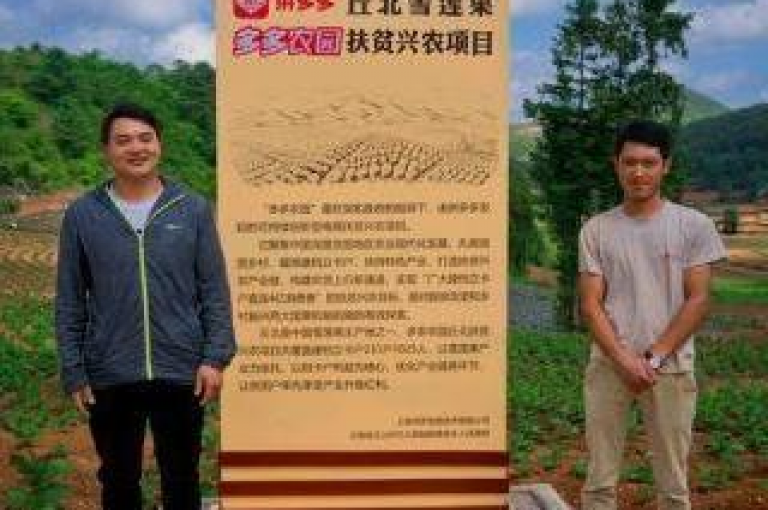 拼多多助力群的真实性有待考证。
