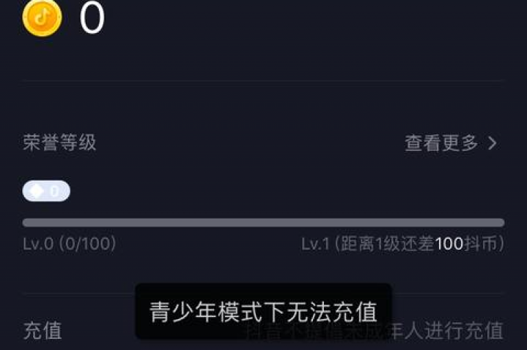 在dy24h自助下单商城中，用户可以通过快手播放量达到一万来获取收益，同时也可以查看qq空间发布的视频的播放量，并且抖音充值100元可以获得10000抖币。