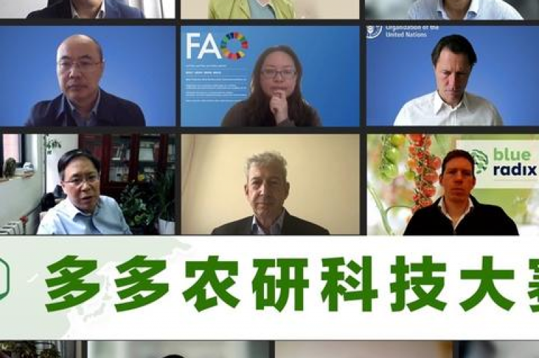 拼多多互助群的相关信息可以在多多帮助力平台上找到。