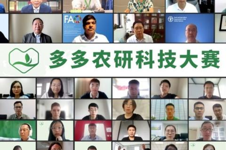 拼多多互助砍价免费进群，一起快速砍价得优惠！