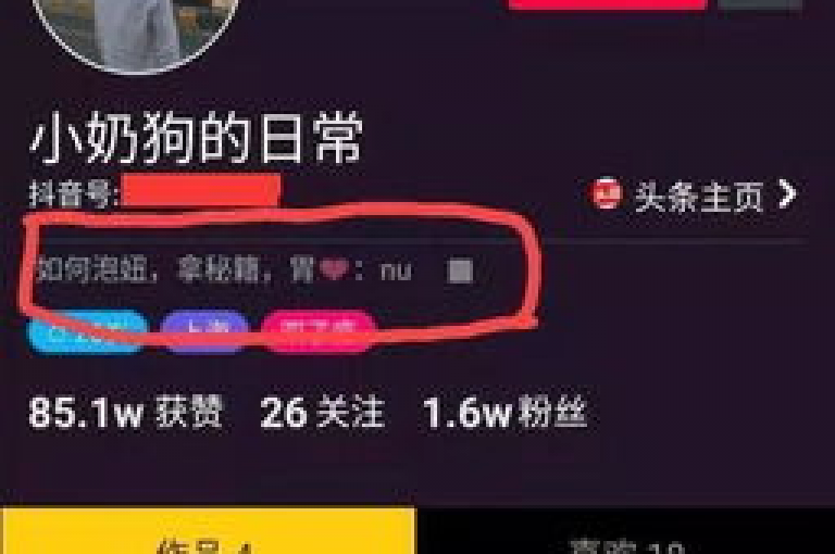 要提升抖音账号的粉丝数量，关键在于创作高质量、具有吸引力的内容，并积极与观众互动，利用热门话题和挑战来提高曝光率。