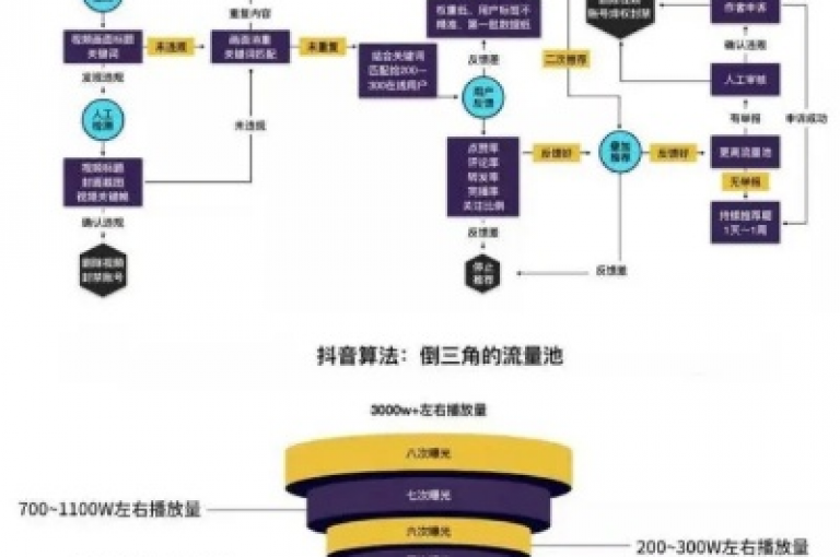 抖音粉丝增长策略 - 探索在抖音平台上有效增加粉丝数量，促进业务发展的方法！