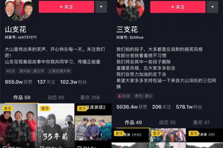 抖商网粉丝增长秘籍。