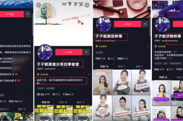 抖音推送流量神器，让你的创意内容迅速走红网络。