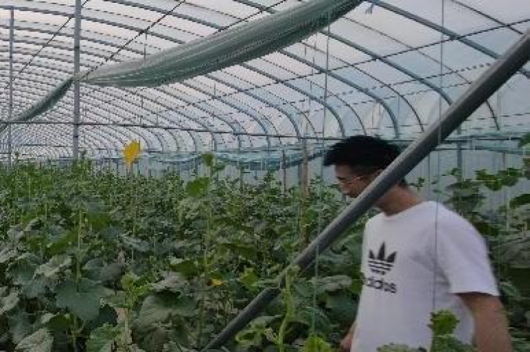 拼多多群助力微信群贴吧怎么弄，在拼多多群中，大家可以通过分享助力链接到微信群或贴吧，邀请好友点击助力，从而增加助力次数。