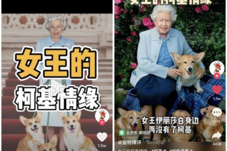 抖音点赞网址在哪里找（在哪里找抖音点赞的链接？），抖音点赞网址在哪里找（在哪里找抖音点赞的链接？）