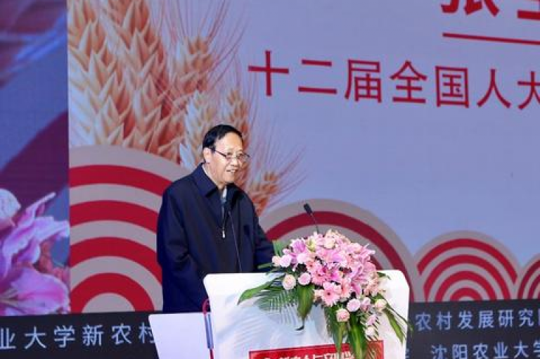 在微信上加入拼多多助力群是否真的可以免费获得帮助？