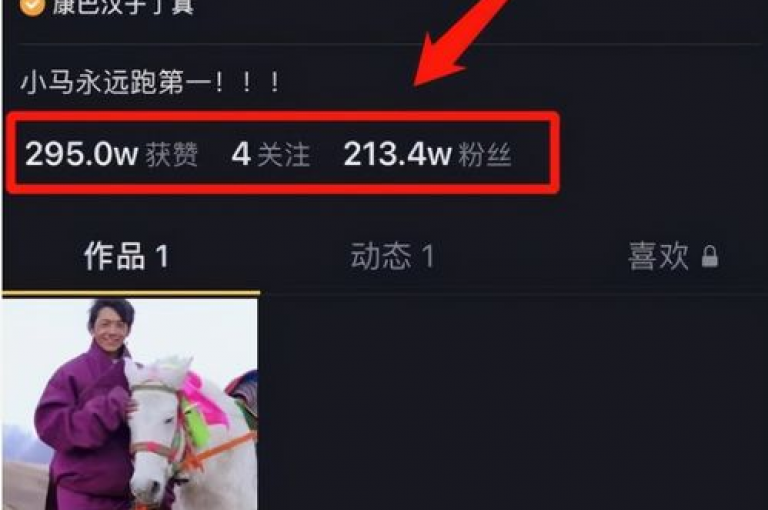 抖音点赞1元100个赞秒到便宜，快手免费一万播放量，ks点赞业务微信支付，抖音快手买z的网站震撼爆料。