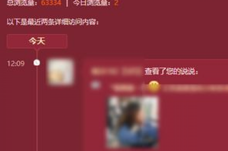 QQ访客记录展示的是访问个人资料的用户，而浏览记录则可能包含对动态、相册等内容的查看。