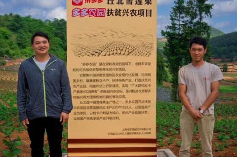拼多多的助力活动究竟是实实在在的优惠还是一种营销手段多多帮助力平台？