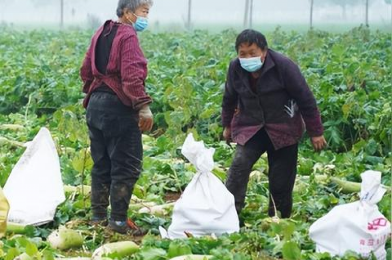 2025年最新的拼多多微信助力群二维码已经发布。