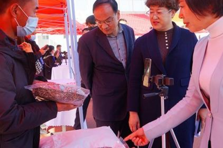 如何操作以请求抖音客服重新激活账号。